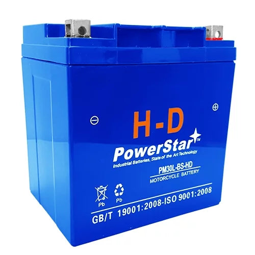 PowerStar 12V 30Ah CB30L-B Heavy-Duty Battery for Sea-Doo Jet Ski