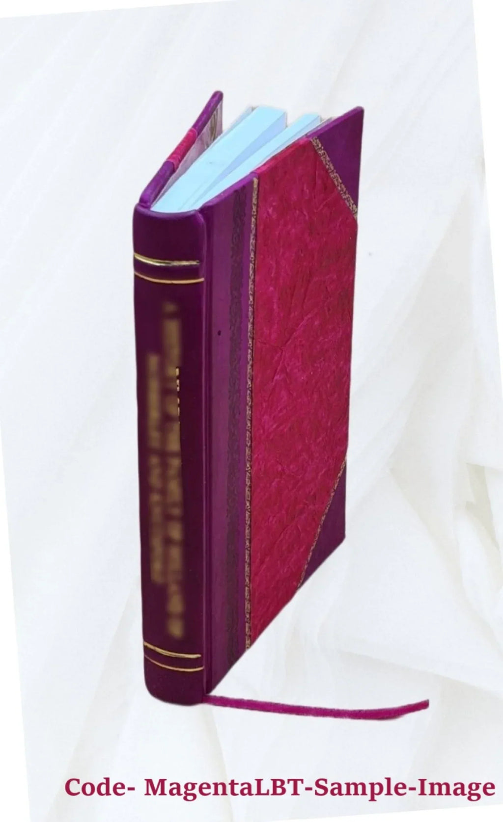 D. Ioan. Chrysostomi ... Commentarii, qui extant in sacrosanctum Iesu Christi Euangelium secundum Marcum et Lucam 1553 [Leather Bound]