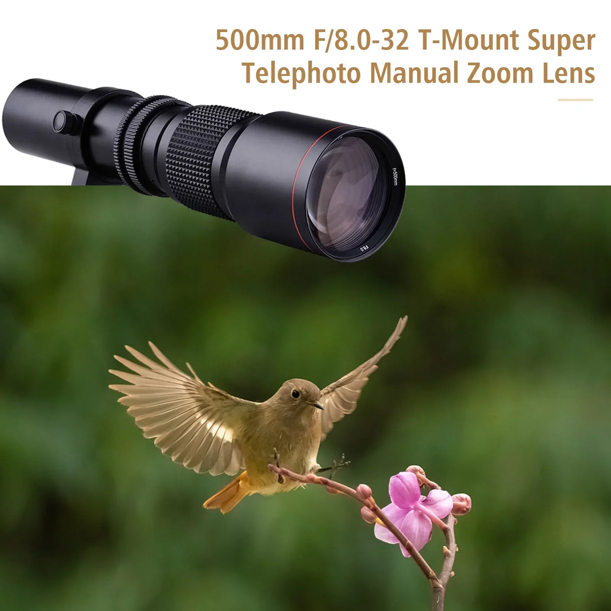 Aibecy 500mm F/8.0-32 Multi Coated Super Telephoto Lens Manual Zoom + T-Mount to NEX E-Mount Adapter Ring Kit Replacement for Sony A9 A7 A7R A7S A5000 A6000 A6500 NEX-7 NEX-5 NEX-6 Cameras