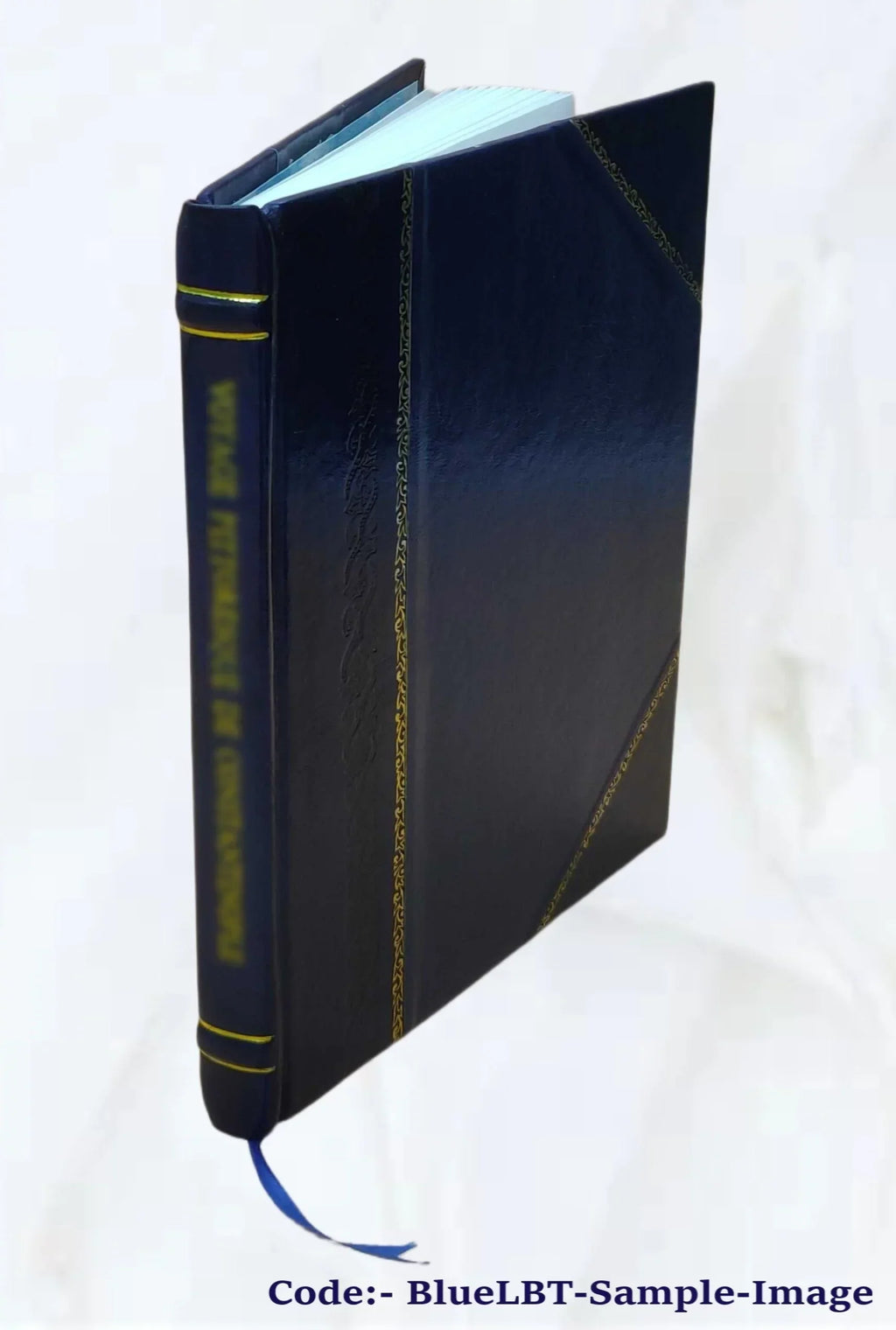 D. Ioan. Chrysostomi ... Commentarii, qui extant in sacrosanctum Iesu Christi Euangelium secundum Marcum et Lucam 1553 [Leather Bound]