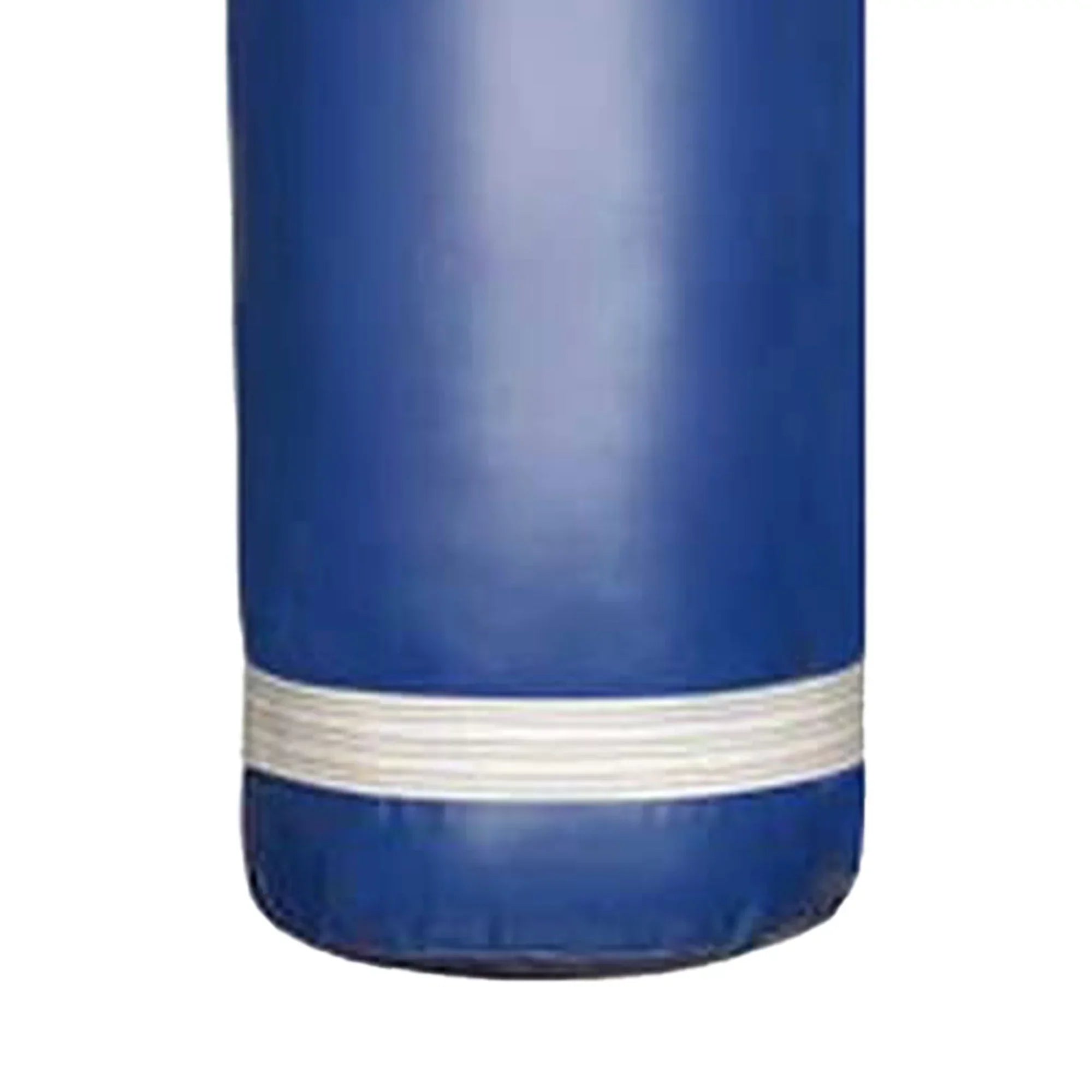 PROLAST 80 Lb Boxing MMA Training Filled Heavy Hanging Punching Bag, Blue