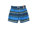Speedo Men's Border Line Performance 20" E-Boardshorts in Blue Green-XL