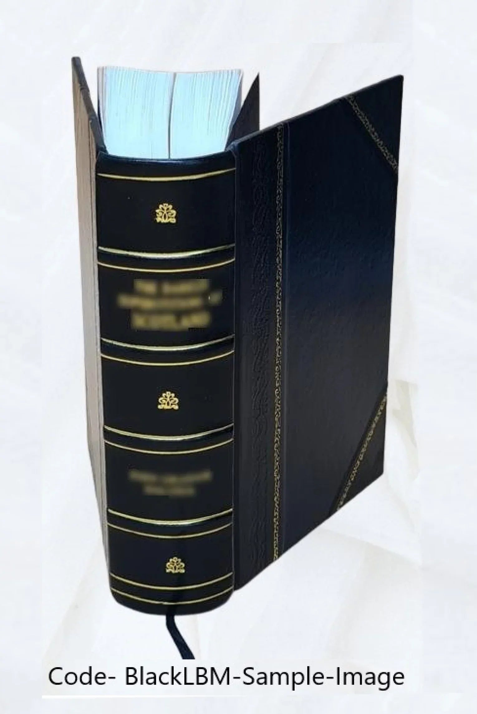 Sanctum Jesu Christi evangelium : secundum Matthaeum, secundum Marcum, secundum Lucam, secundum Joannem ; Acta apostolorum ([Reprod.]) 1531 [Leather Bound]